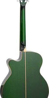 Tanglewood Winterleaf Super Folk Acoustic Guitar w/EQ. (TW4CEFG)
