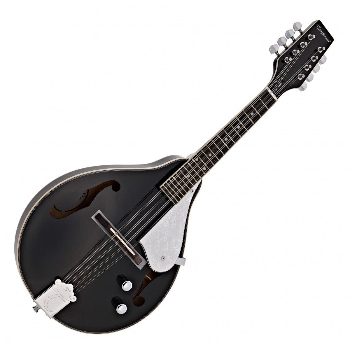 Tanglewood Union Series Electric Mandolin - TWM T BKP E