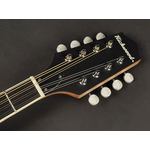 Richwood Master Series Irish Bouzouki w/ Solid Spruce Top