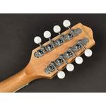 Richwood Master Series Irish Bouzouki w/ Solid Spruce Top