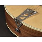 Richwood Master Series Irish Bouzouki w/ Solid Spruce Top
