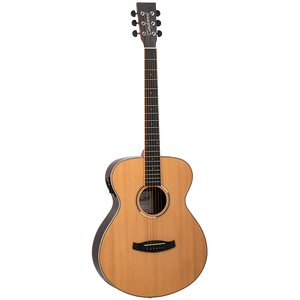 Tanglewood Discovery Folk Size Electro Acoustic Guitar  (DBT F EB E)