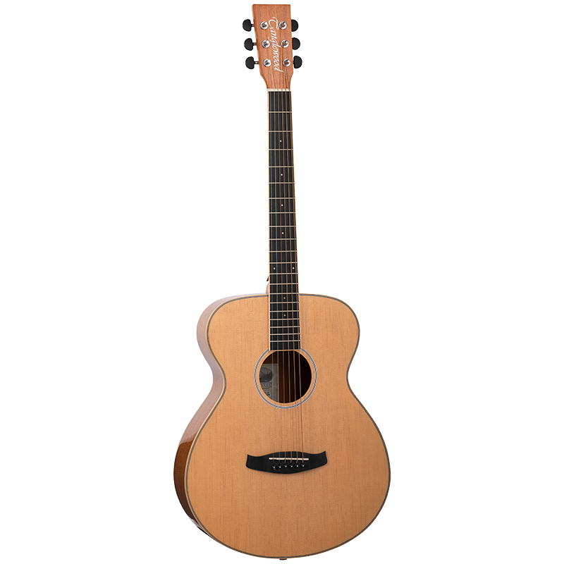 Tanglewood Discovery Gloss Folk Size Acoustic Guitar Pack - DBT F PG LH
