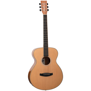 Tanglewood Discovery Gloss Folk Size Acoustic Guitar Pack - DBT F PG LH
