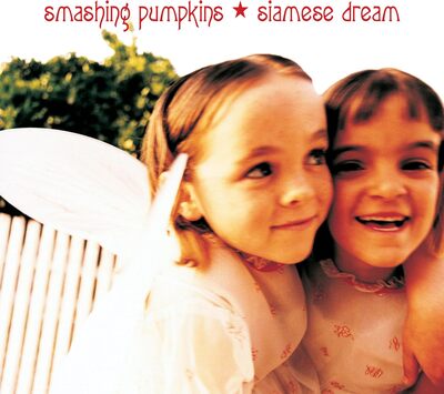Smashing Pumpkins - Siamiese Dreams 2LP (Vinyl)