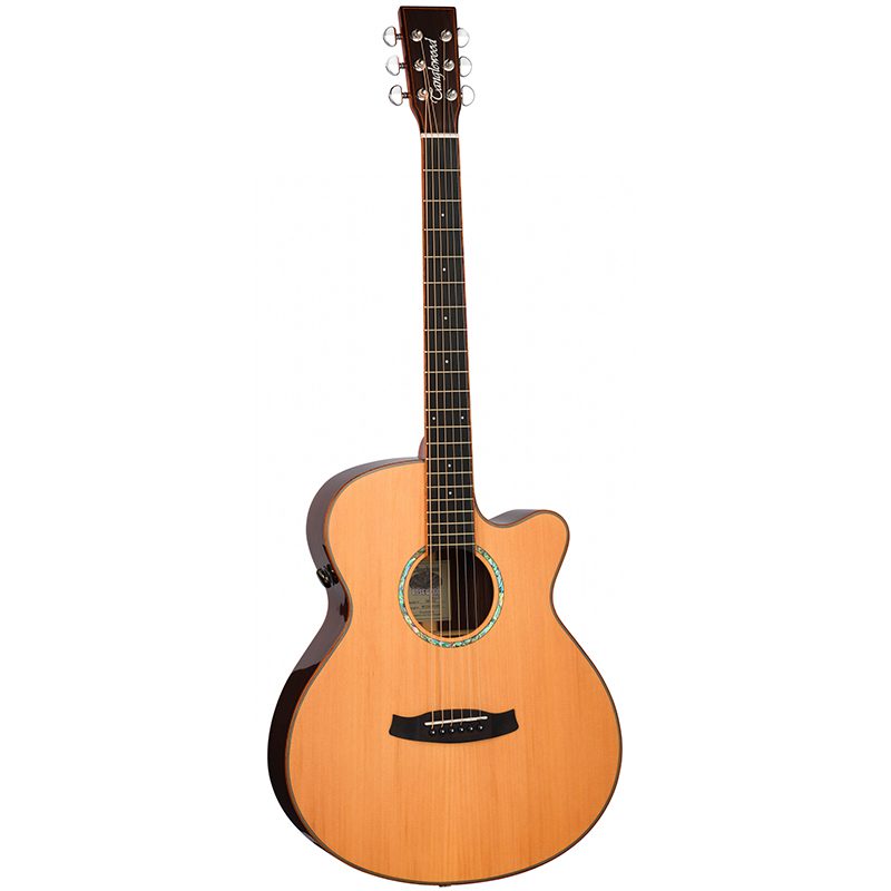 Tanglewood Rosewood Smart Series Acoustic Guitar (TRS4CE)