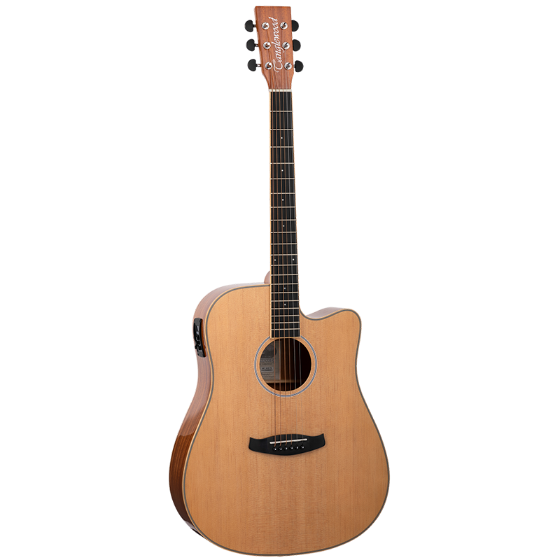 Tanglewood Dreadnought Cutaway Electro Acoustic w/EQ  (DBT DCE PG)