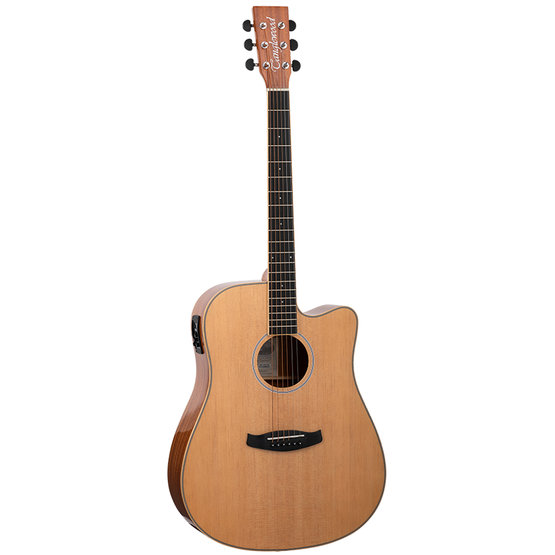 Tanglewood Dreadnought Electro Acoustic w/Cutaway  - DBT DCE PG