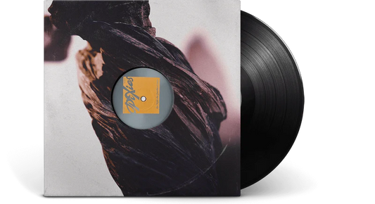 Pixies - The Night The Zombies Came LP (Vinyl)