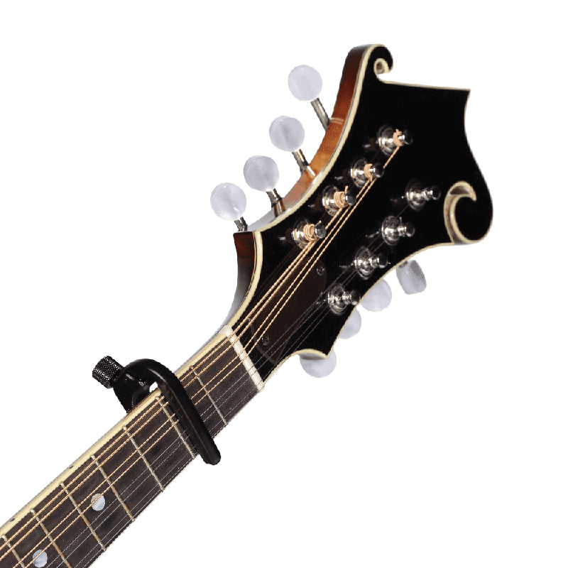 D'addario Banjo/Mandolin Pro Capo