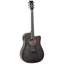 Tanglewood Winterleaf Dreadnought Acoustic Guitar w/EQ.  (TW5CEBS)