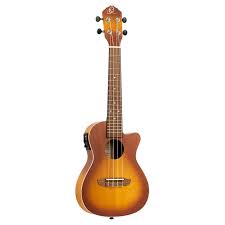 Ortega Earth Series Concert Ukulele (RUDAWN-CE)