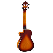 Ortega Earth Series Concert Ukulele (RUDAWN-CE)