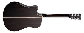 Tanglewood Winterleaf Dreadnought Acoustic Guitar w/EQ.  (TW5CEBS)