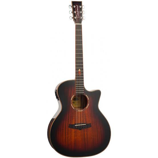 Tanglewood Winterleaf Exotic Series Grand Auditorium Acoustic Guitar (TWX6CEK)