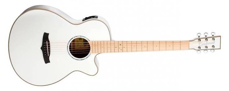 Tanglewood Winterleaf Super Folk Acoustic Guitar w/EQ.  (TW4CEBLW)
