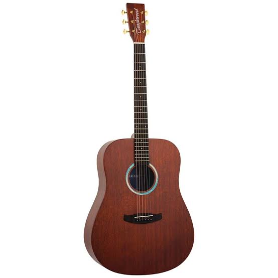 Tanglewood Elemental Dreadnought Guitar (TE5BL)