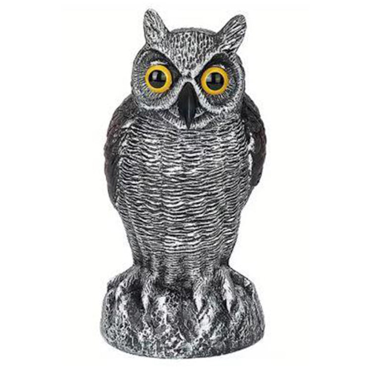 Little Decoy Owl