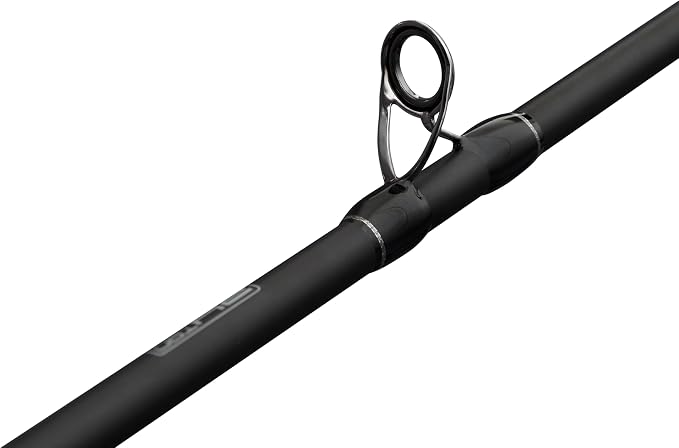 Abu Garcia MAX SX Casting Combo  (2.13m, 15-60g)