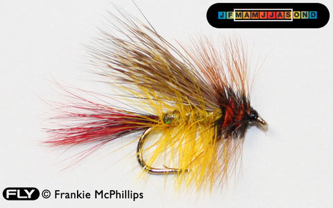 FRANKIE MCPHILLIPS FLIES