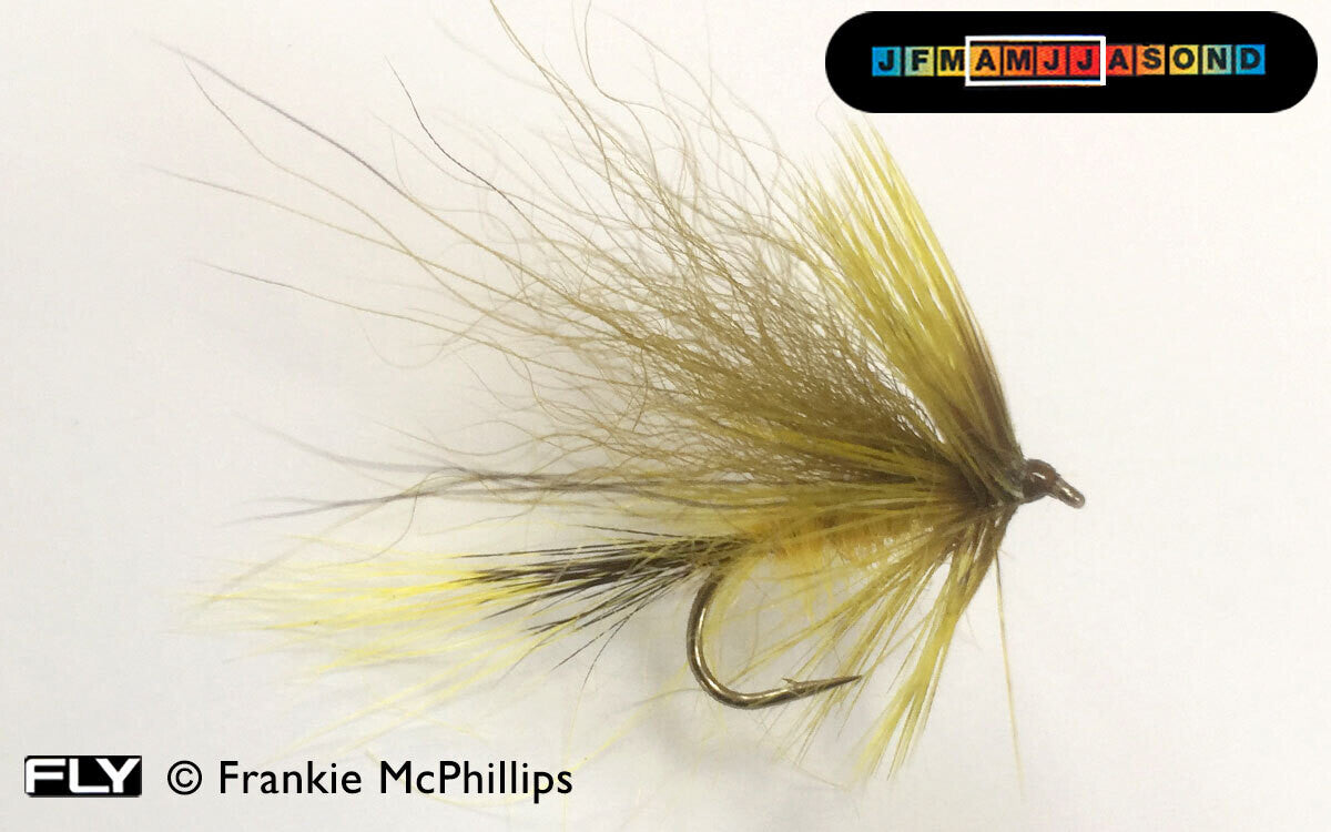 FRANKIE MCPHILLIPS FLIES