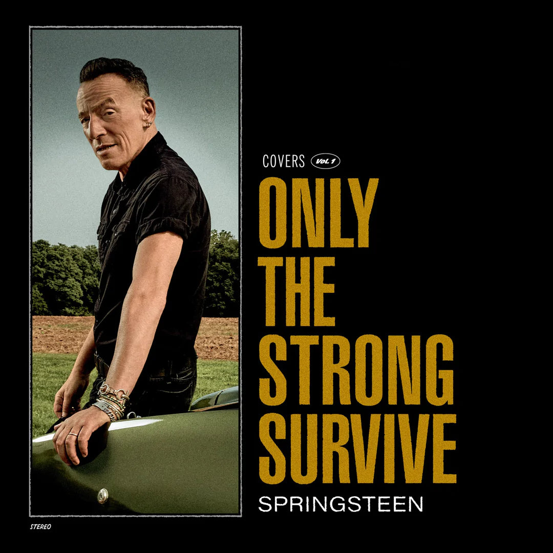 Bruce Springteen - Only The Strong Survive (2LP Black Vinyl)