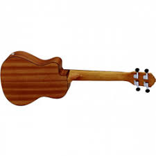 Ortega Concert Ukulele (RU5CE-TE)