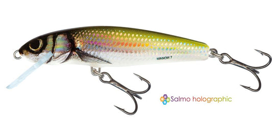 Salmo Minnow Floating 7cm/6g