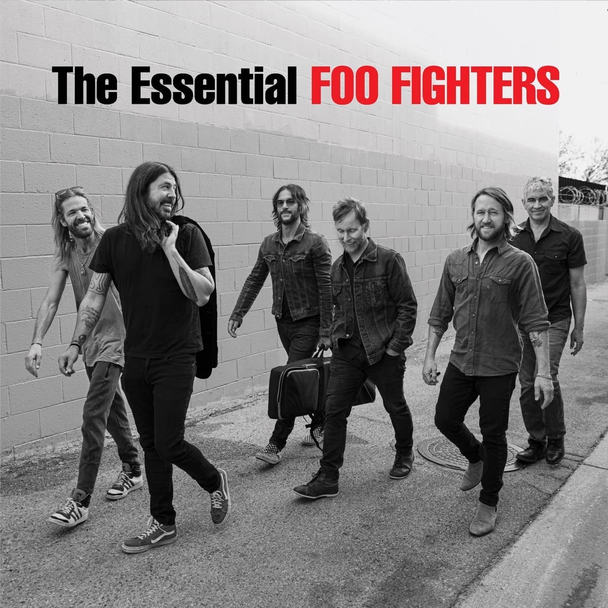 Foo Fighters - The Essential Foo Fighters LP (Vinyl)