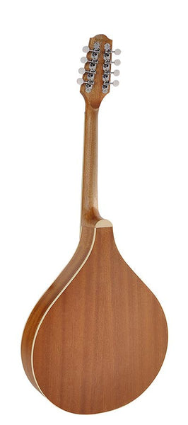 Richwood Master Series Irish Mandola with solid spruce top