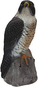 Peregrine Falcon 16" by Sport Plast