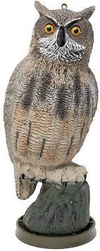Great Horned Owl by Sport Plast