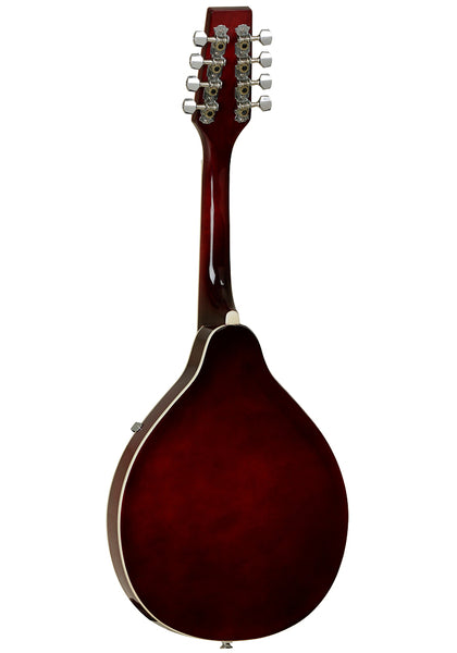 Tanglewood Mandolin - TWM T WR