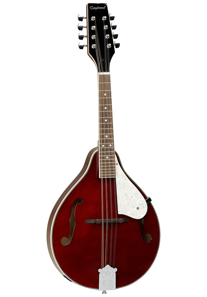 Tanglewood Mandolin - TWM T WR