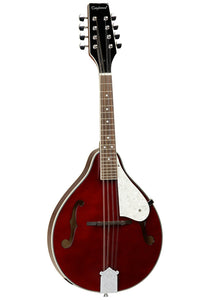 Tanglewood Mandolin - TWM T WR
